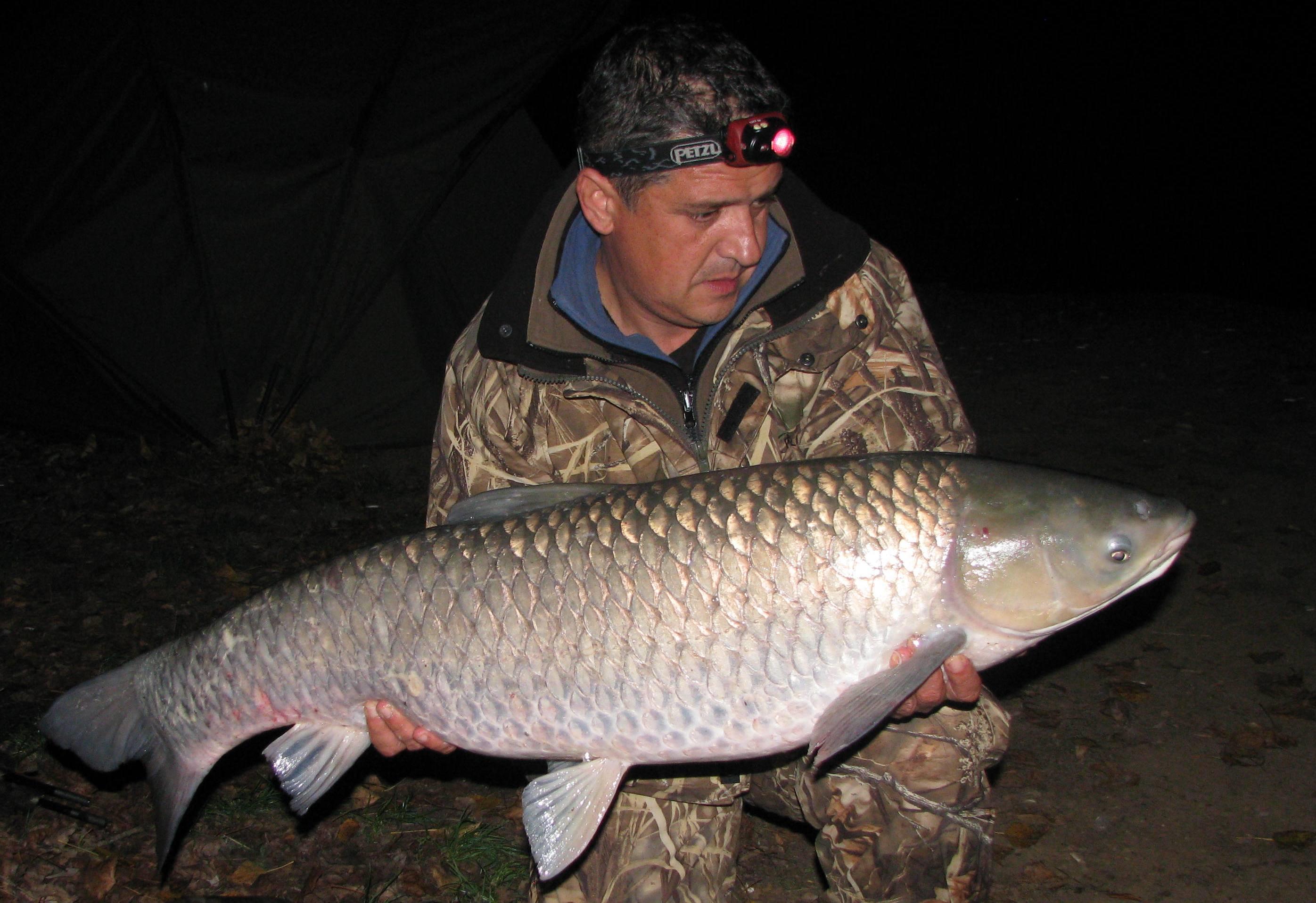 septembrie - octombrie 2012 - amur14.0.jpg